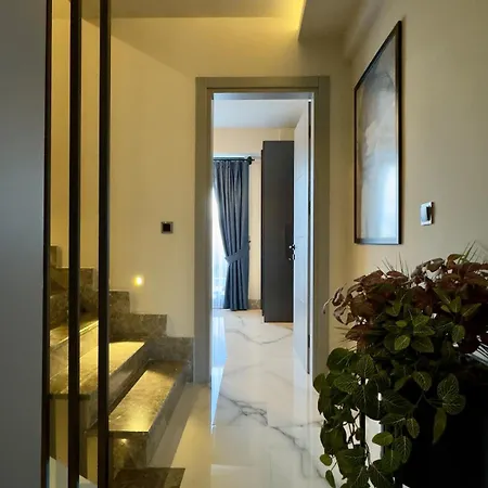 Villa Burberry&sauna Whirlpool Turkish Bath Pool Bbq