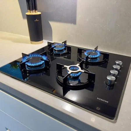 Burberry&sauna Whirlpool Turkish Bath Pool Bbq