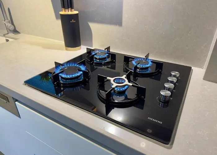 Burberry&sauna Whirlpool Turkish Bath Pool Bbq